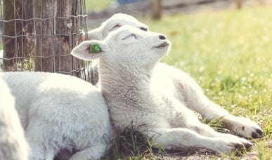 Zo begin jij de lente met een frisse start: 8 reset tips Zo begin jij de lente met een frisse start: 8 reset tips