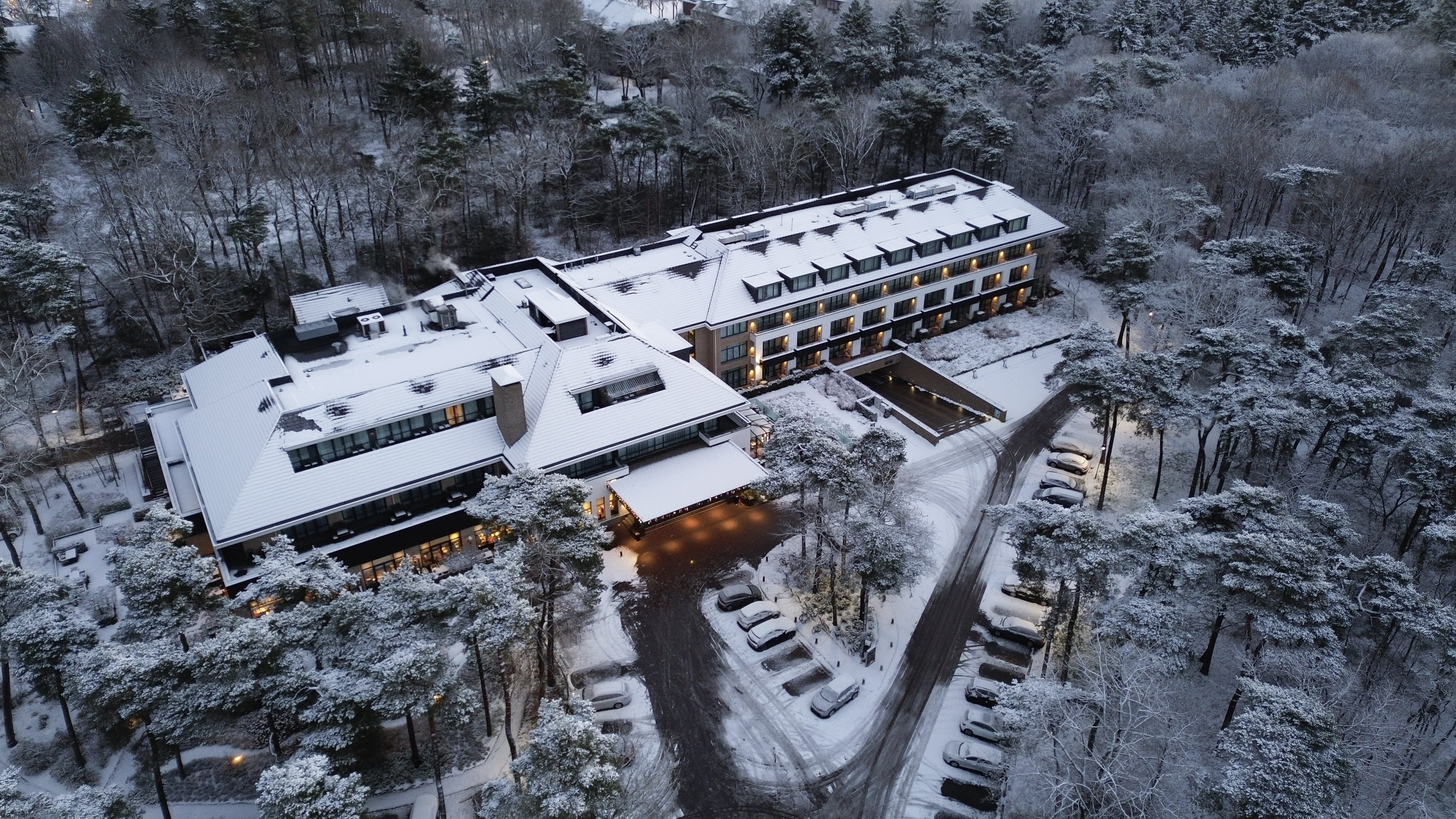 Genieße den Winter auf der Veluwe