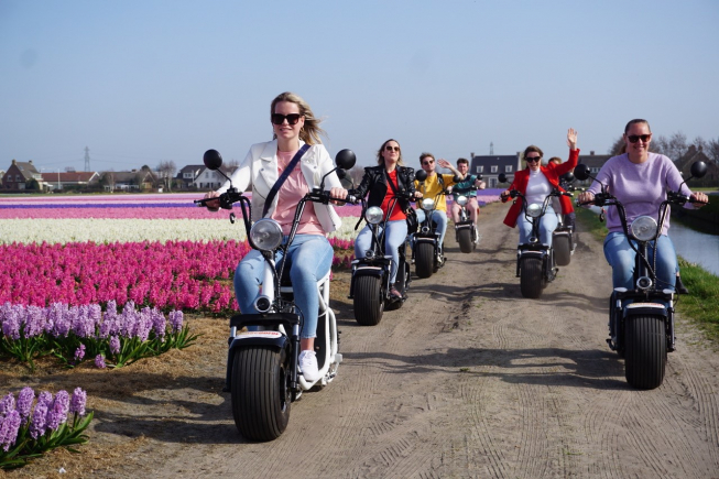 Ontdek de bollenstreek