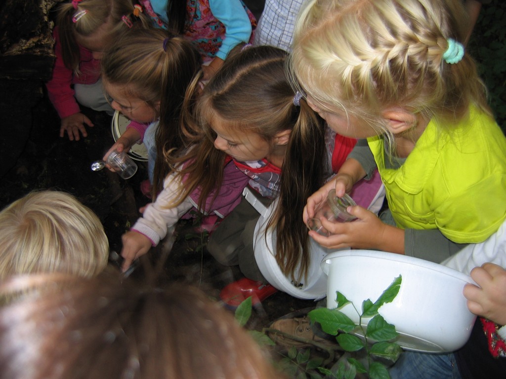 Informatieboerderij Zorgvrij