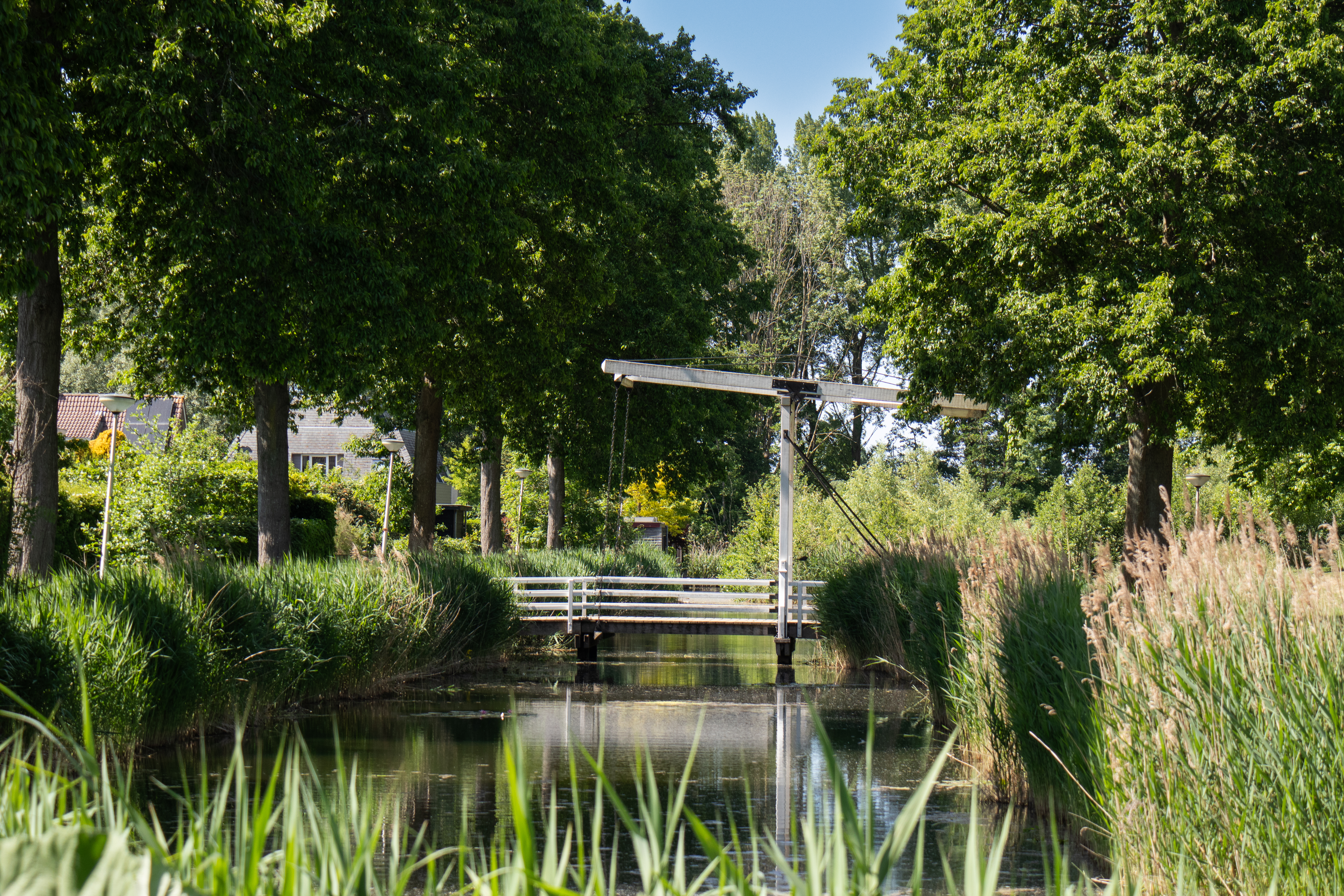 Parkeren en Elektrisch laden