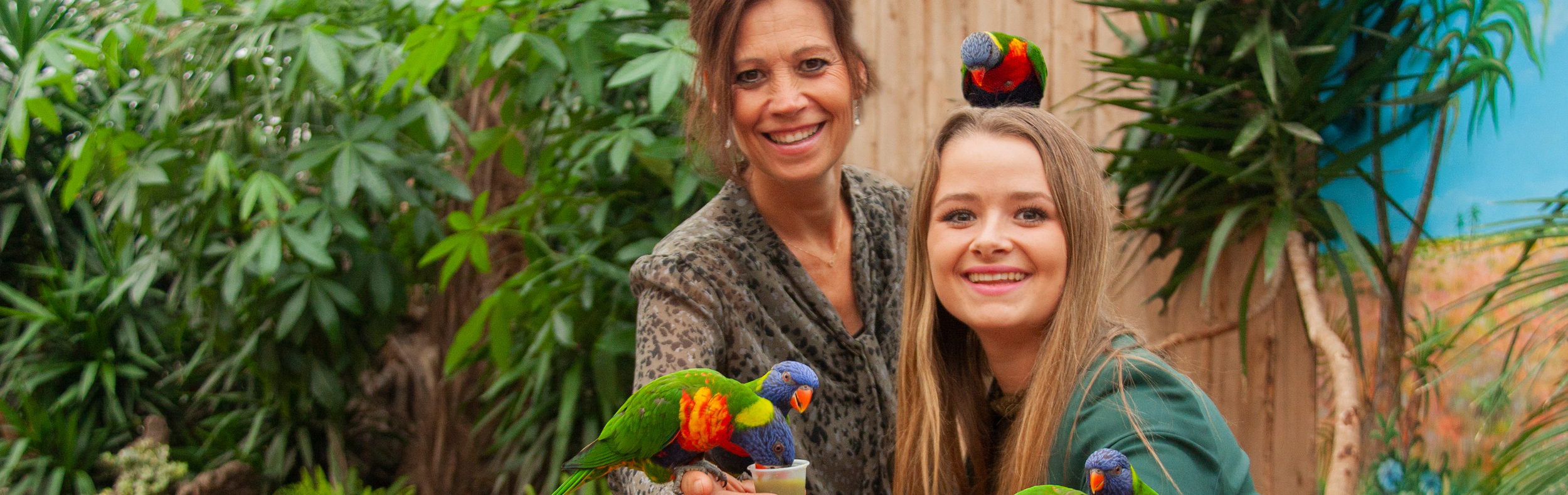 Hotel Wolvega-Heerenveen - Pantropica Paket