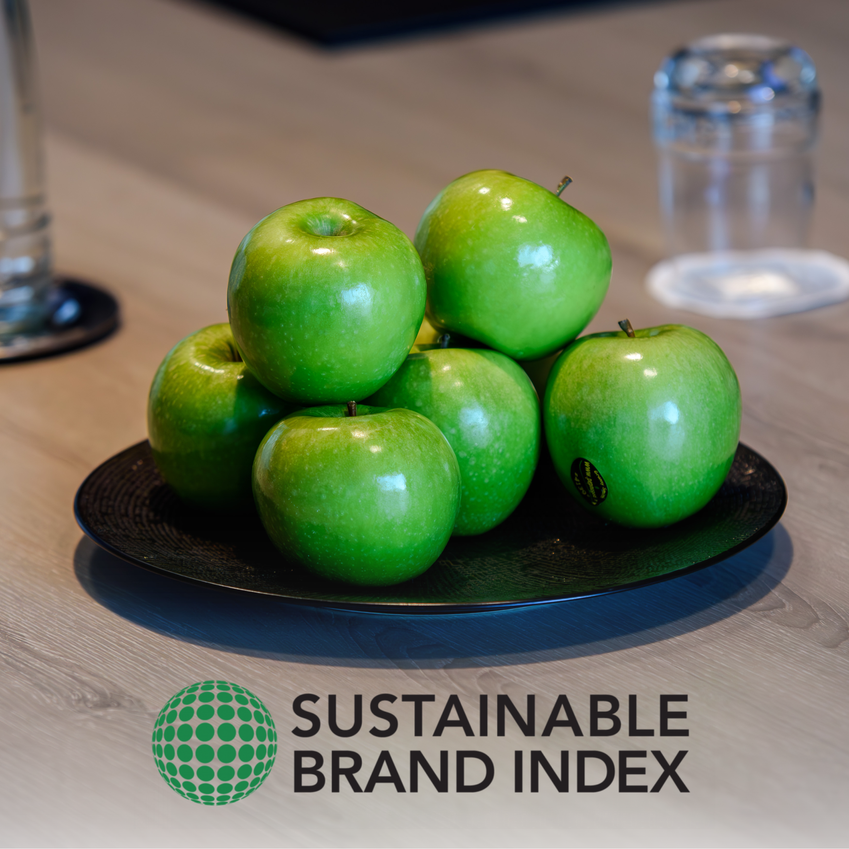 Our Commitment to Sustainability