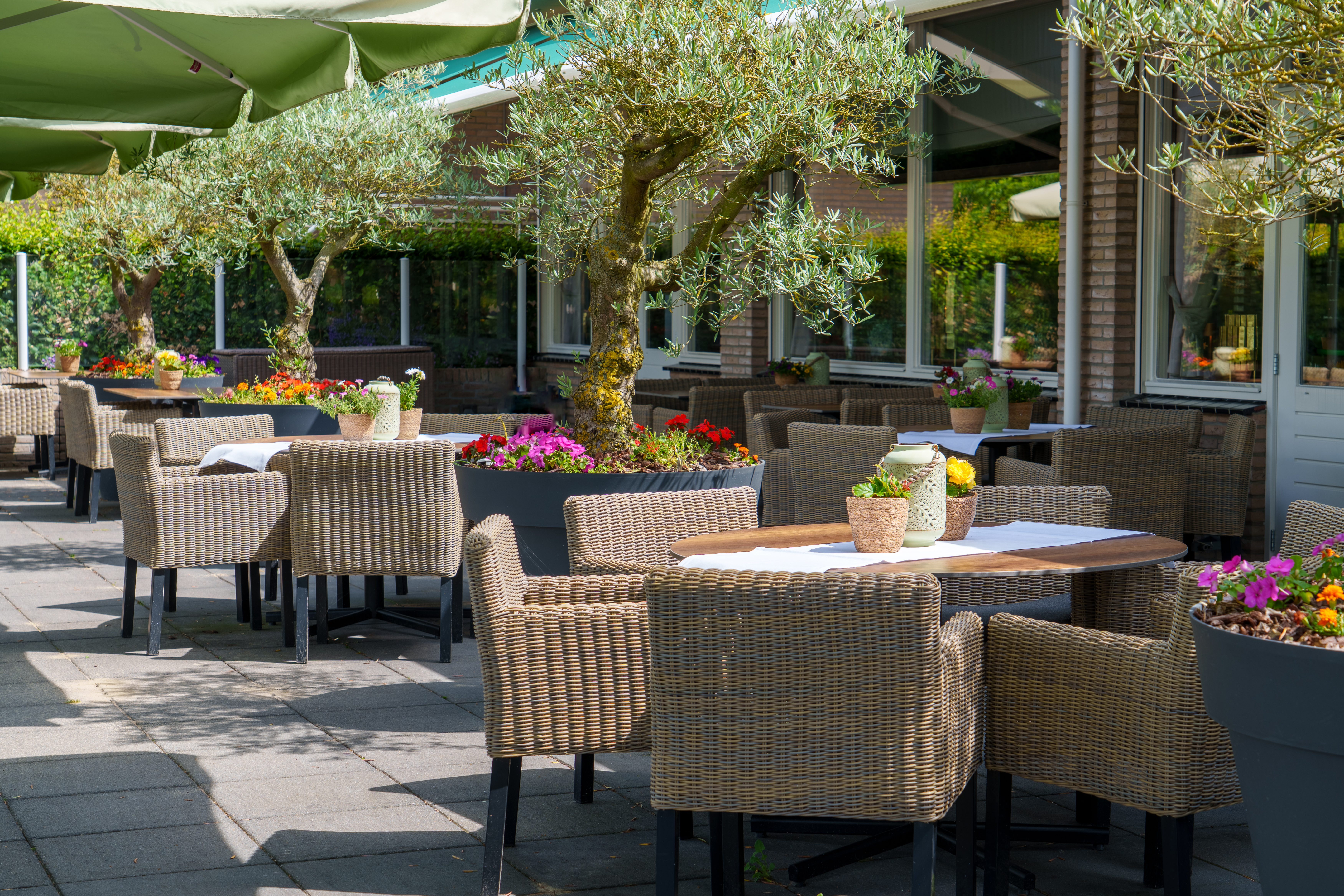 Terras