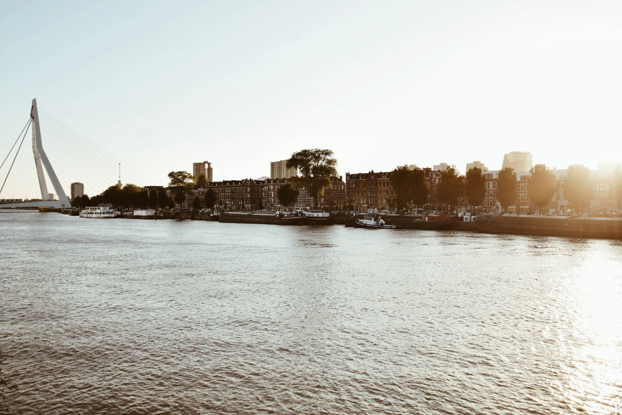 Rotterdam aan het water