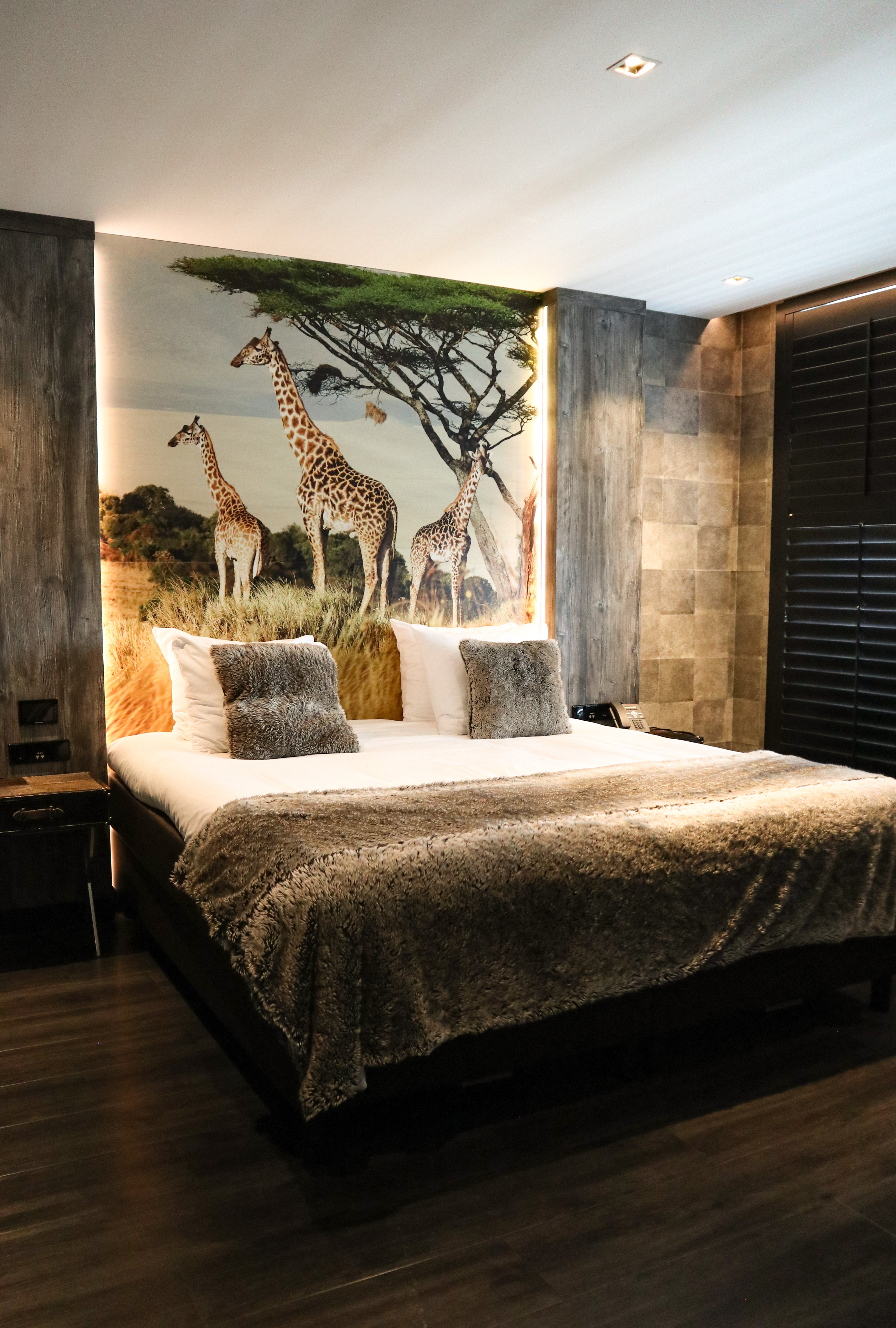 Safari Suite