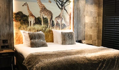 Safari Suite Safari Suite
