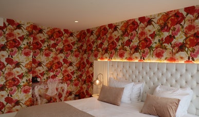 Flower Suite Flower Suite