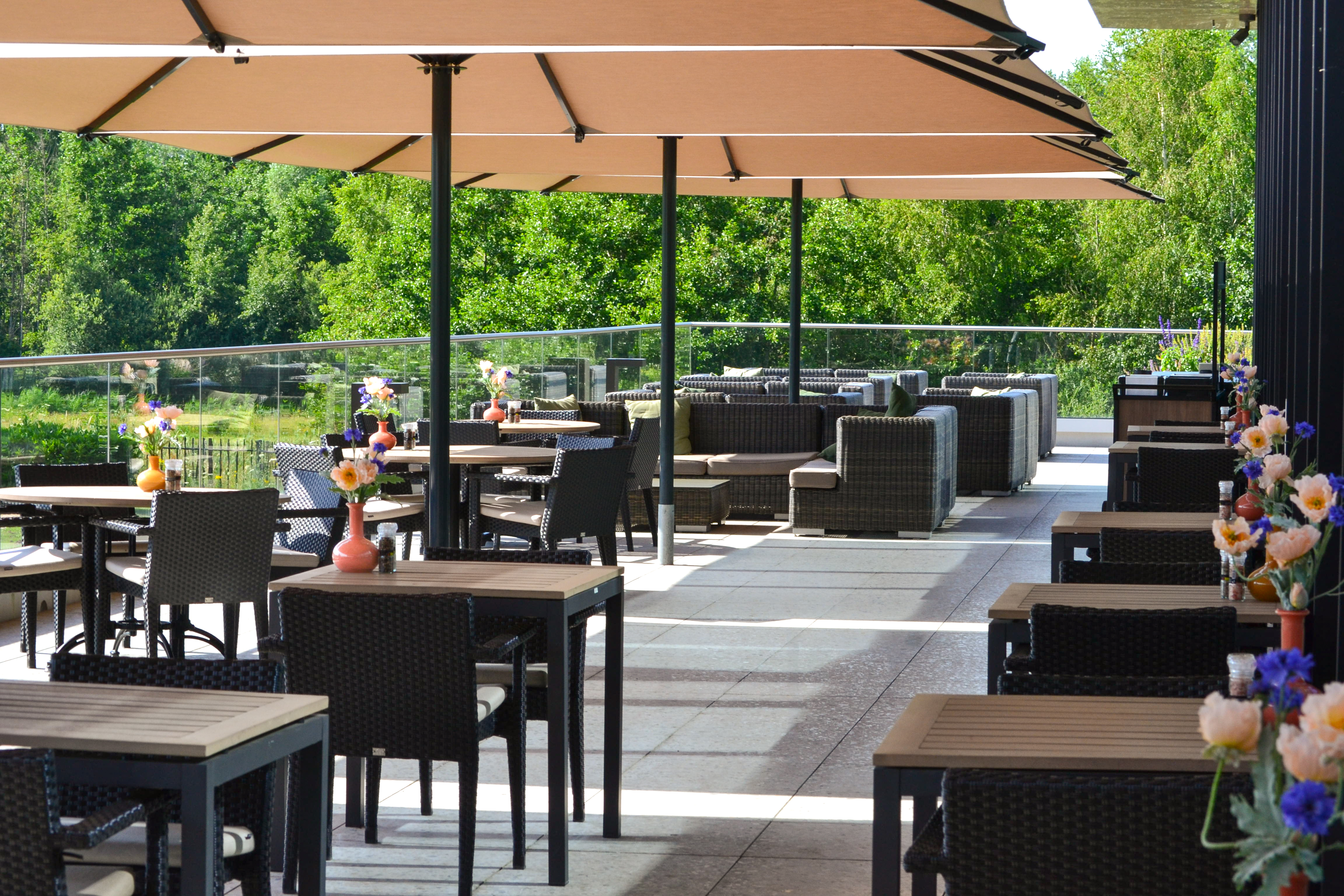 Terras