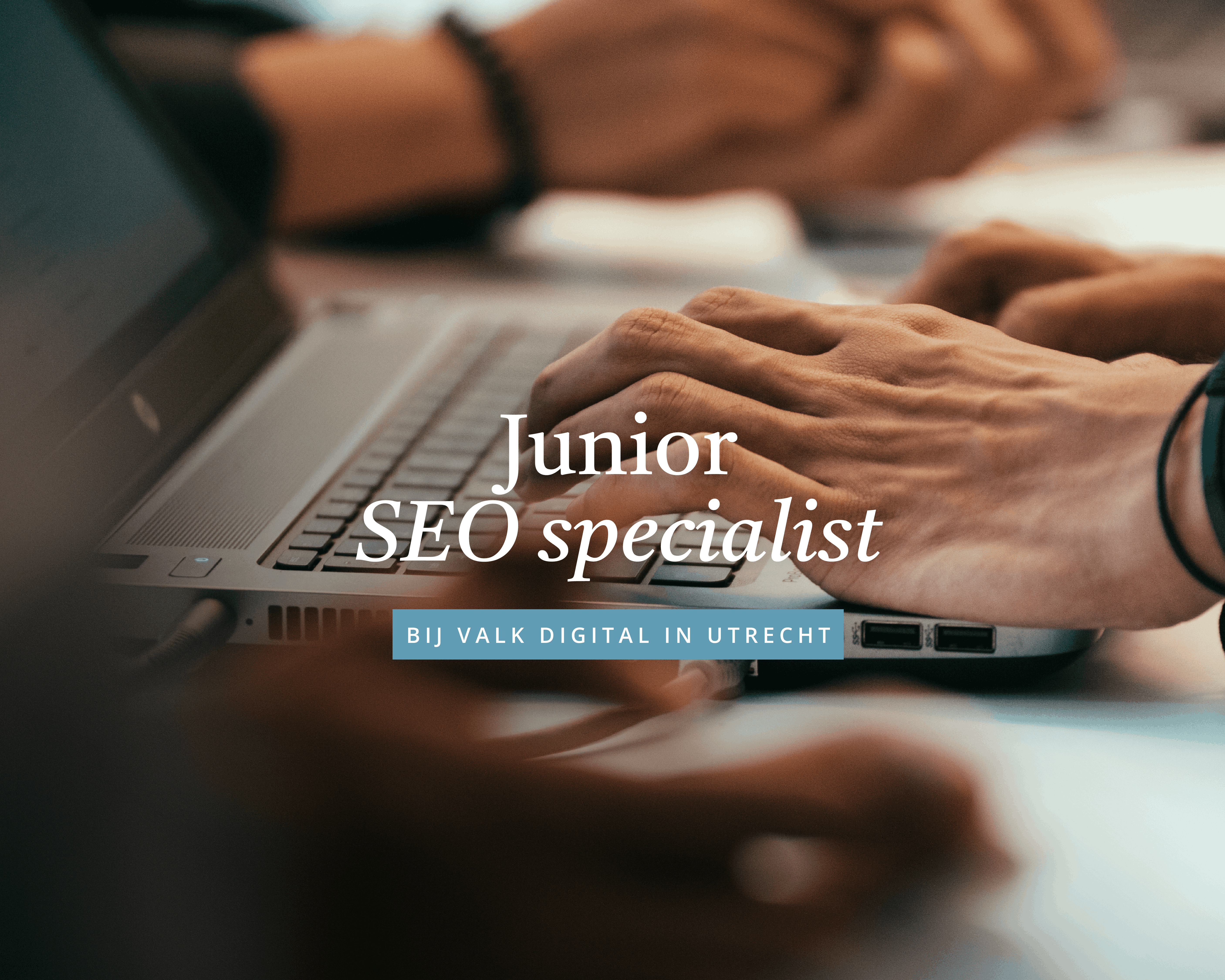 Junior SEO Specialist