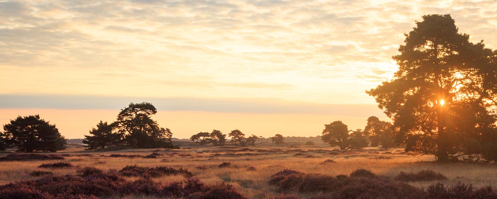 Hotels met speeltuin