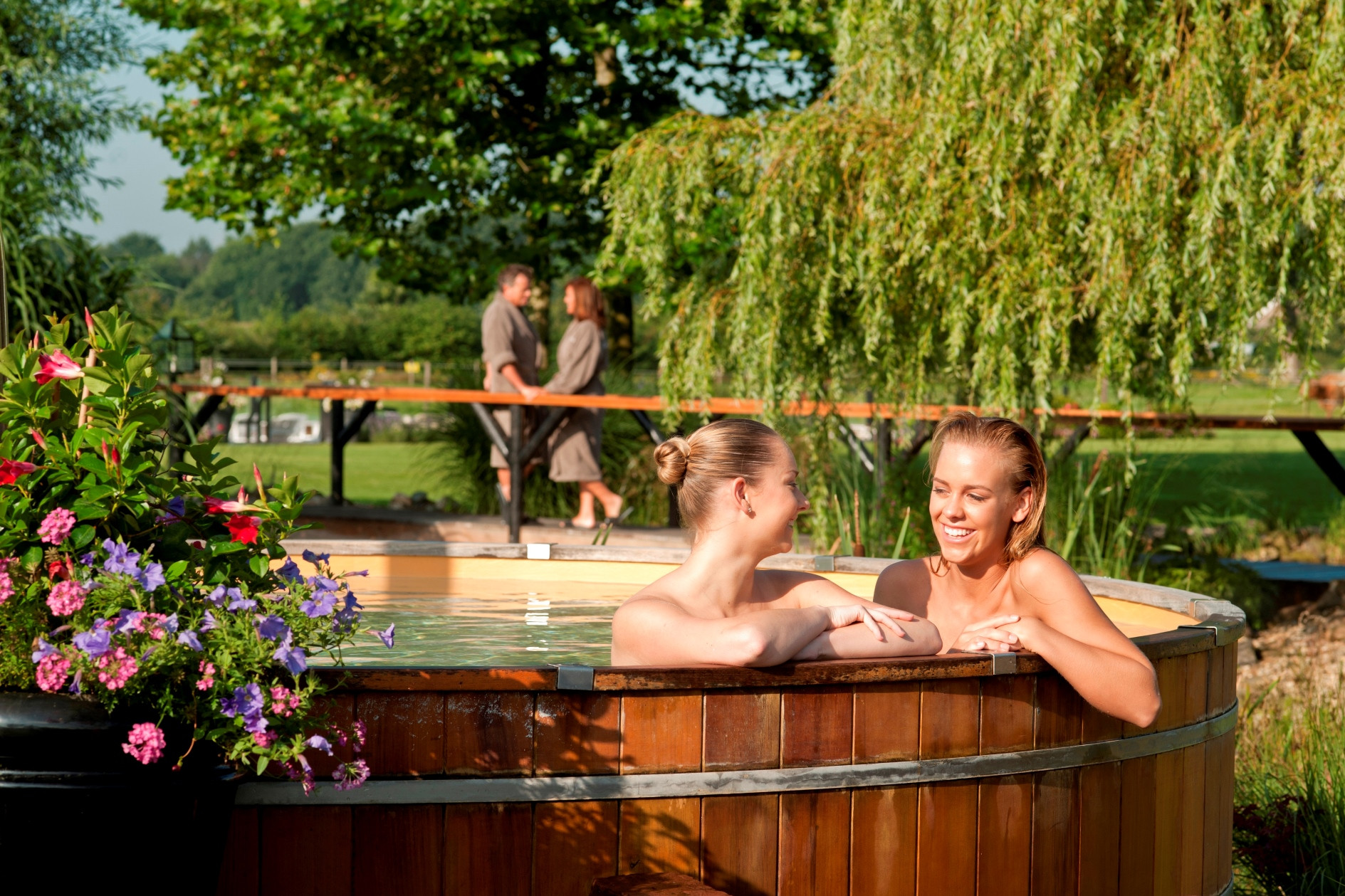 Wellness arrangement