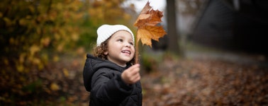 Seasonal Deal Seasonal Deal
