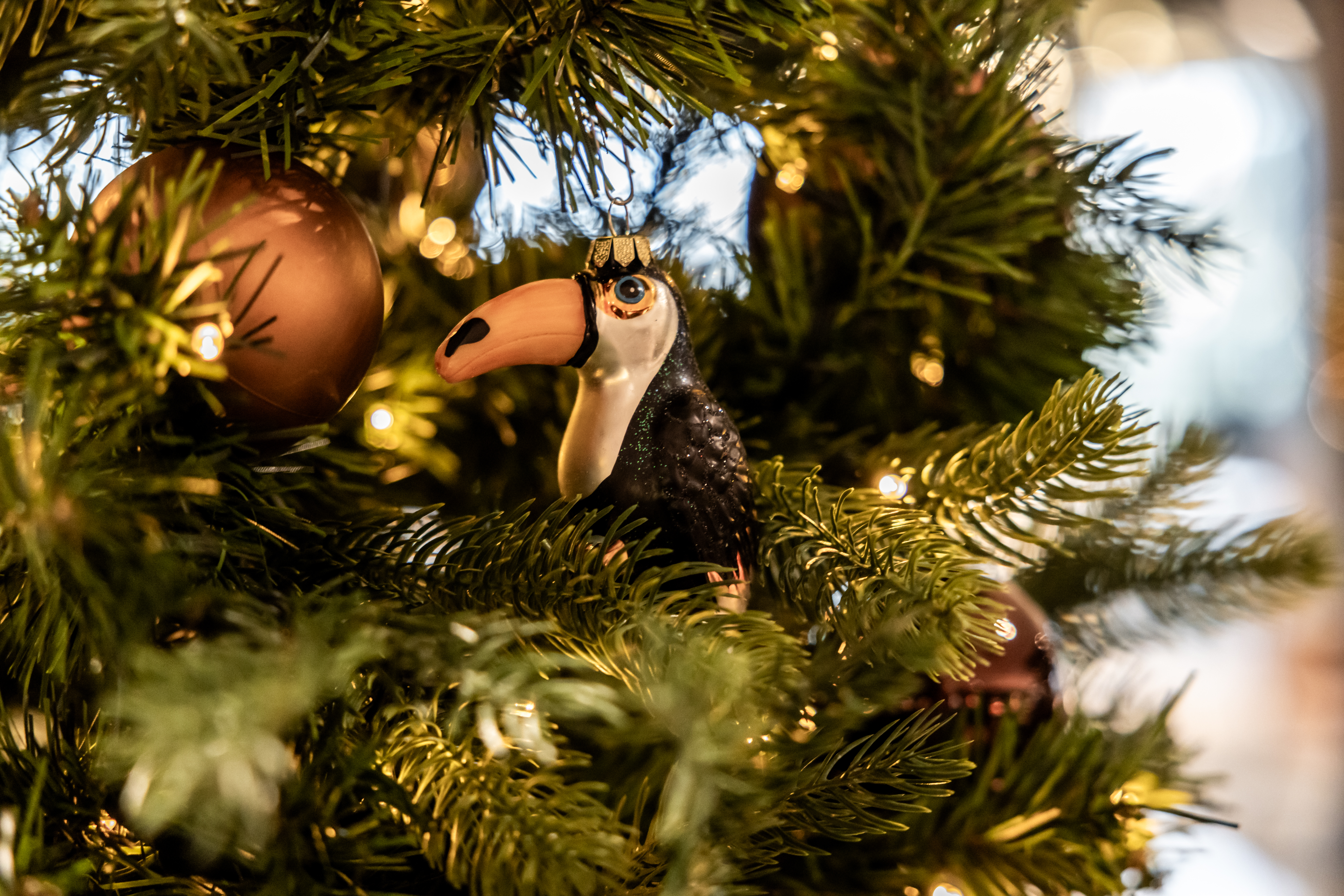 Komt kerst vieren