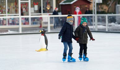 IJs in Ermelo IJs in Ermelo