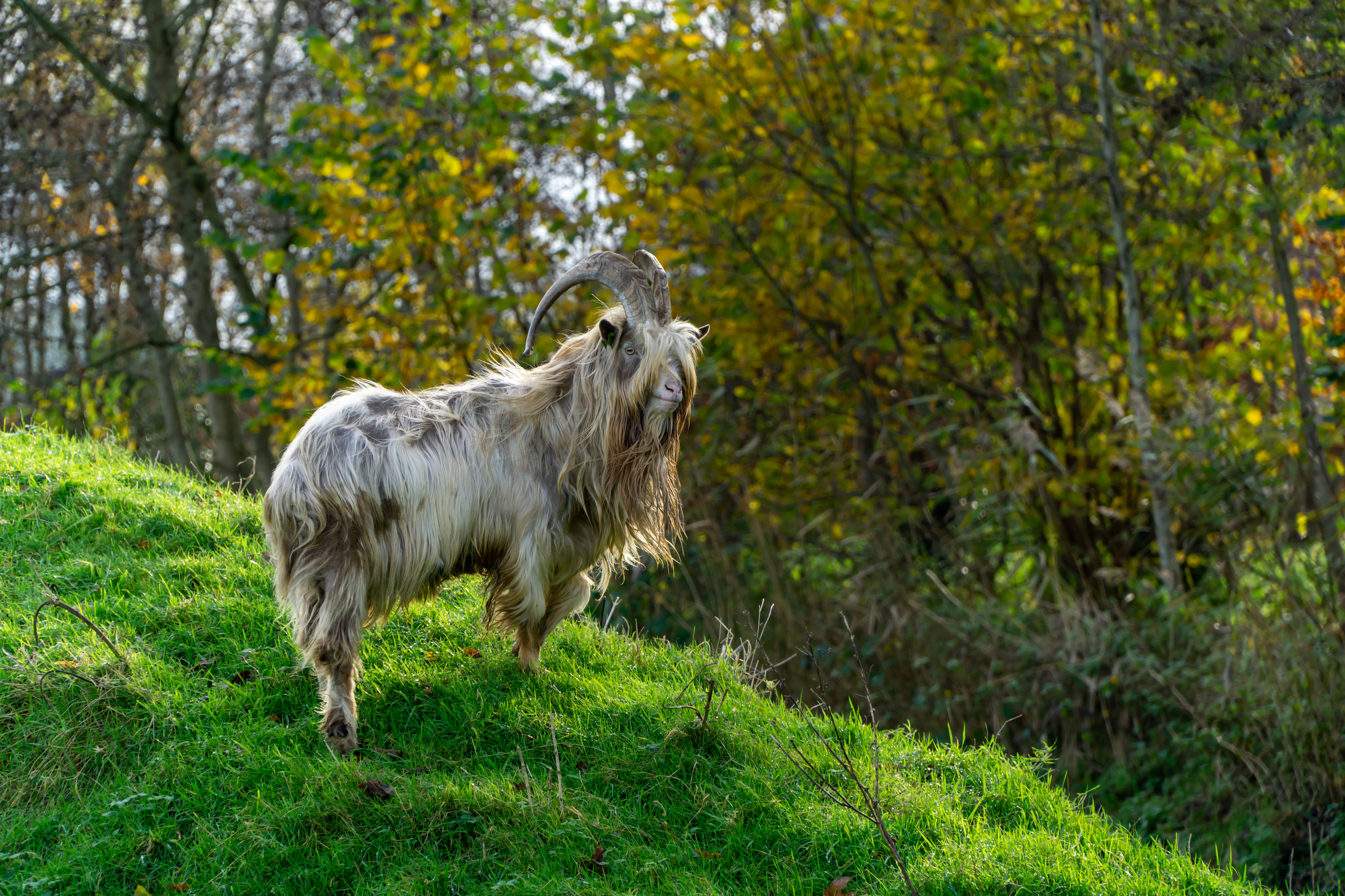 Geniet van de omgeving
