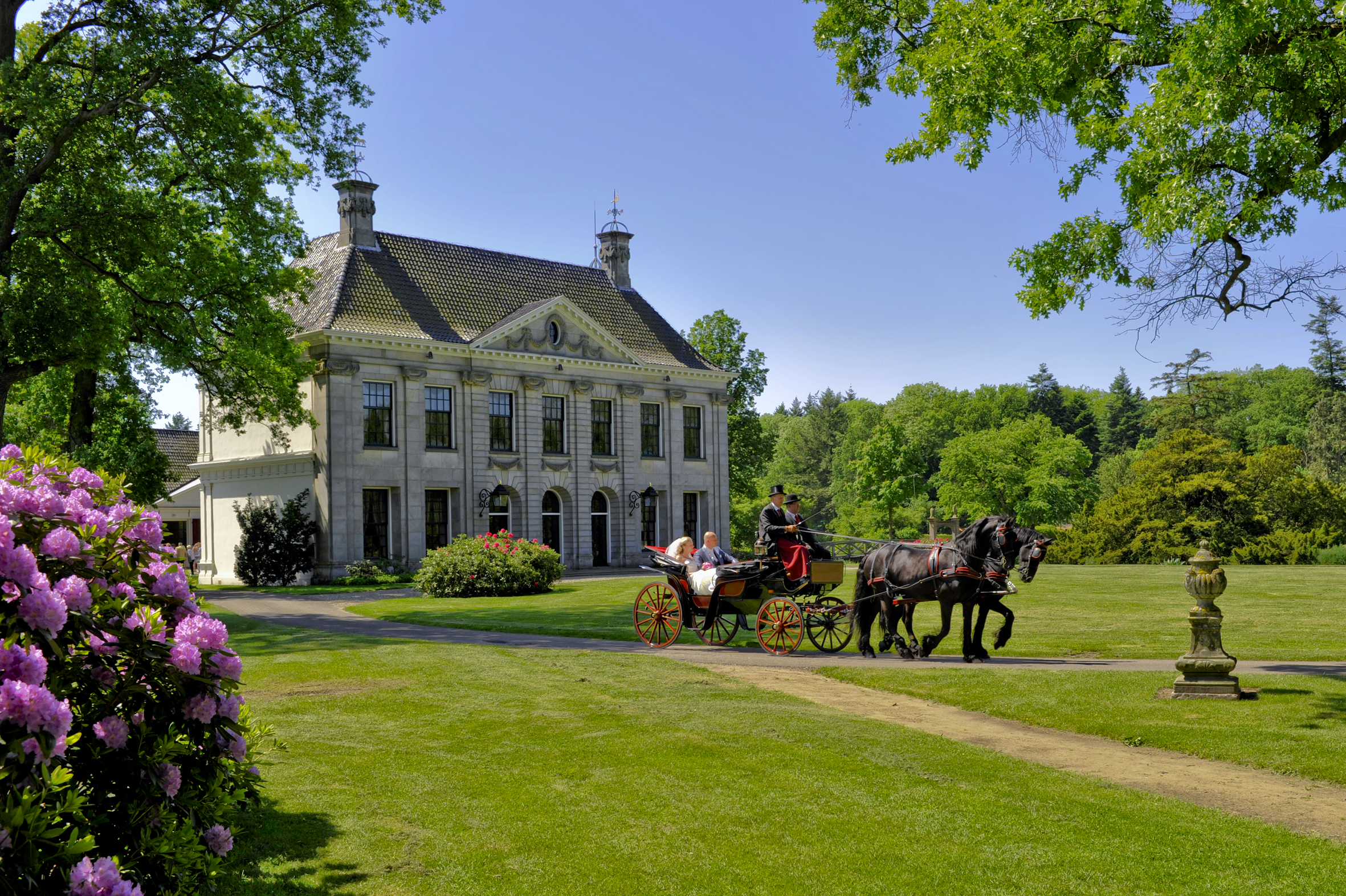 Omgeving