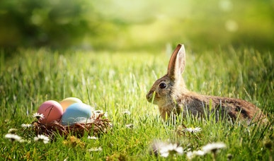 Paasmarkt Ermelo Paasmarkt Ermelo