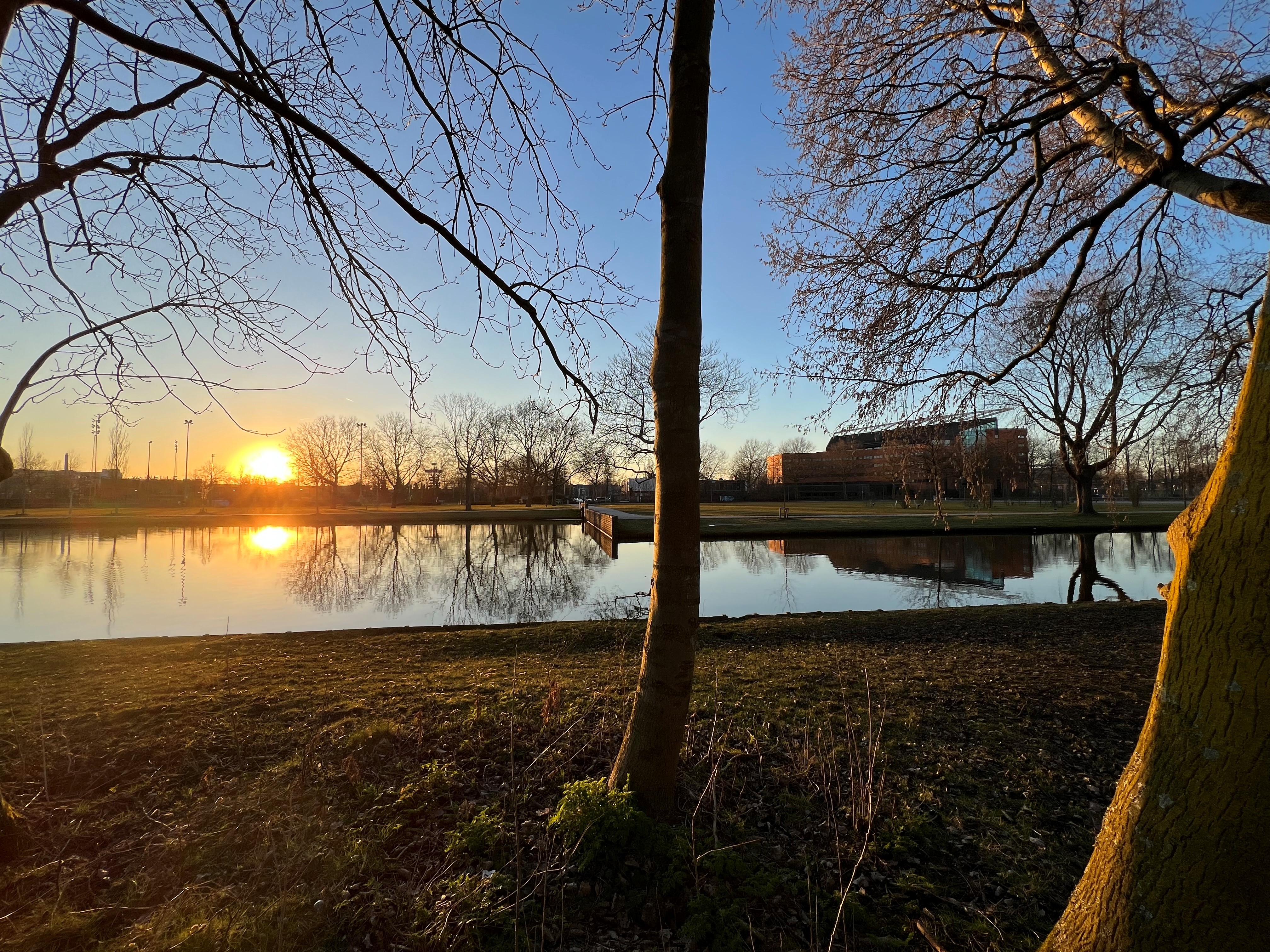 Meetings & Congressen