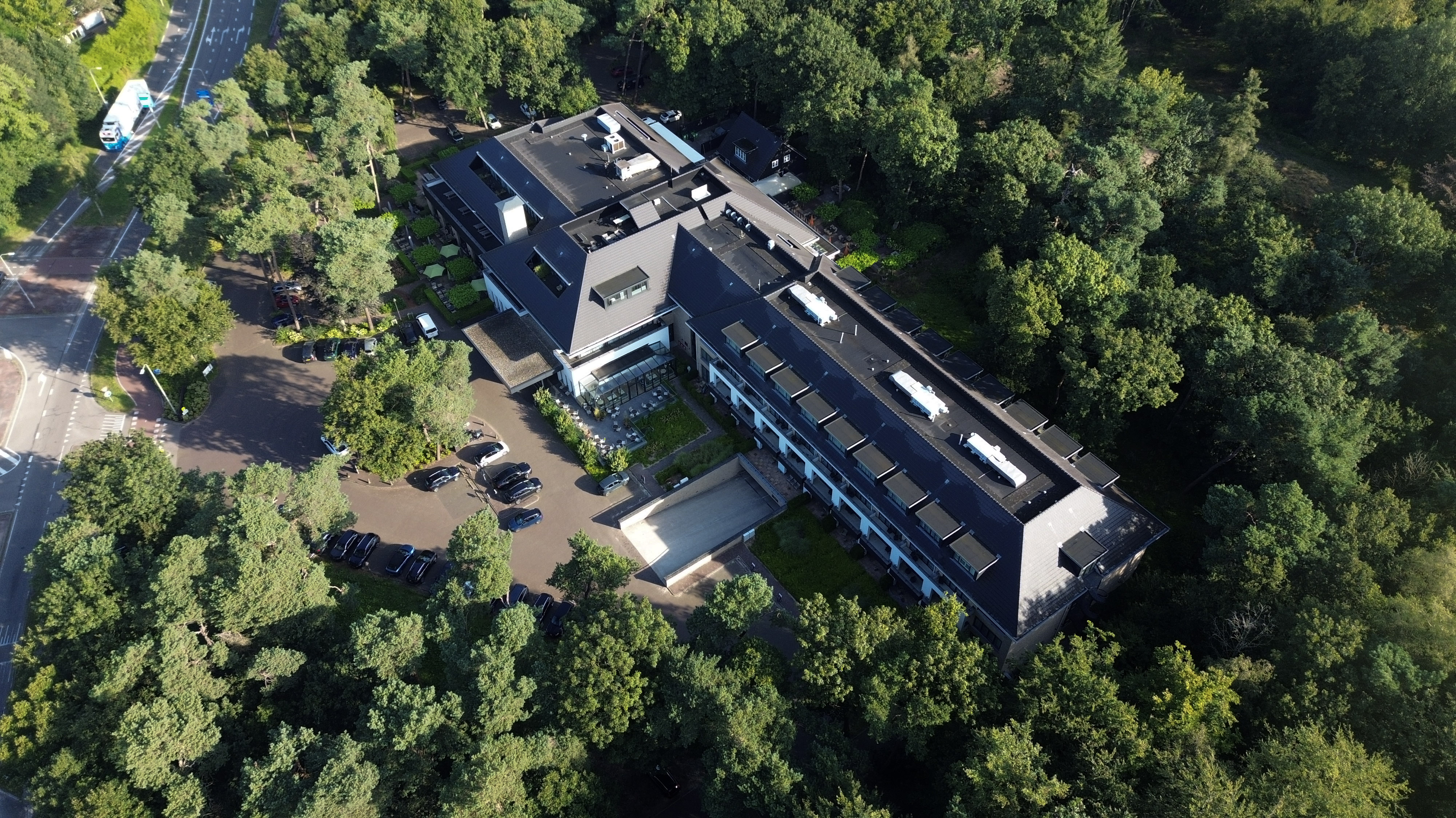 Zomer op de Veluwe